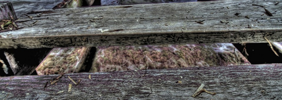 Photo of the Day: HDR Image of Hurricane Damaged Pier in Ambergris Caye, Belize