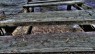 Photo of the Day: HDR Image of Hurricane Damaged Pier in Ambergris Caye, Belize