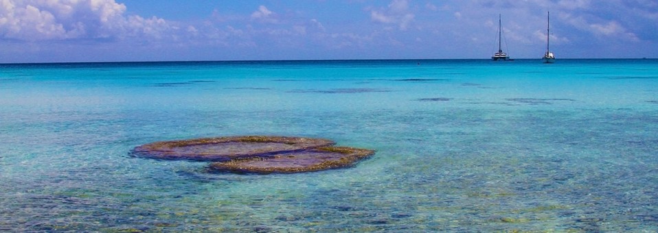 Photo of the Day: Rangiroa Atoll in French Polynesia