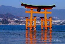 Torii Gate at Itsukushima Shrine in Miyajima, Japan