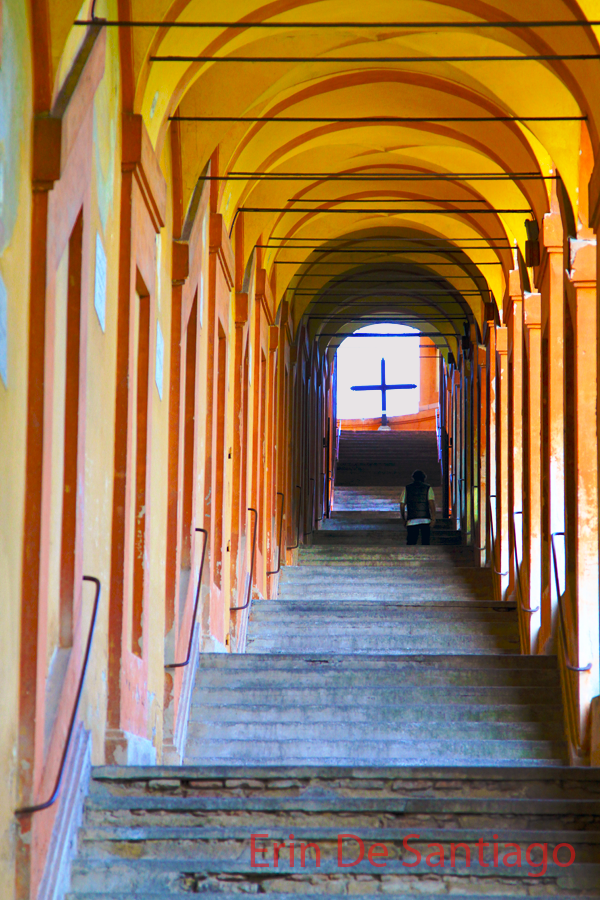 A glimpse into the 666 porticos at San Luca in Bologna, Italy A glimpse into the 666 porticos at San Luca in Bologna, Italy 